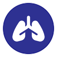 Custom icon